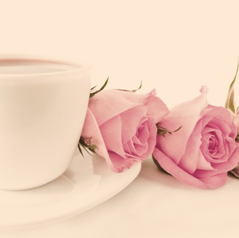 White Cup with Pink Roses
