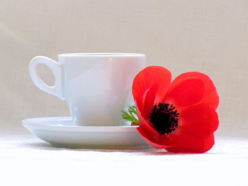 White Cup with Poppy
