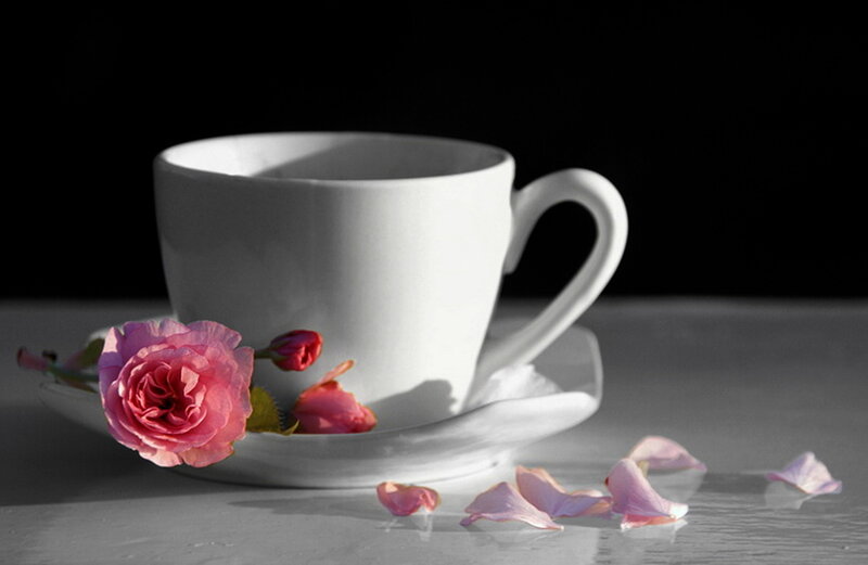 White Cup with Rose