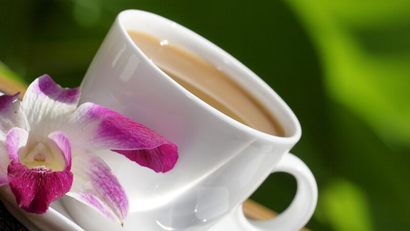 White Cup with Tea