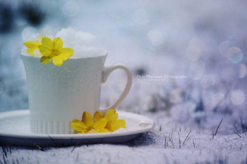 White Cup with Yellow Flowers