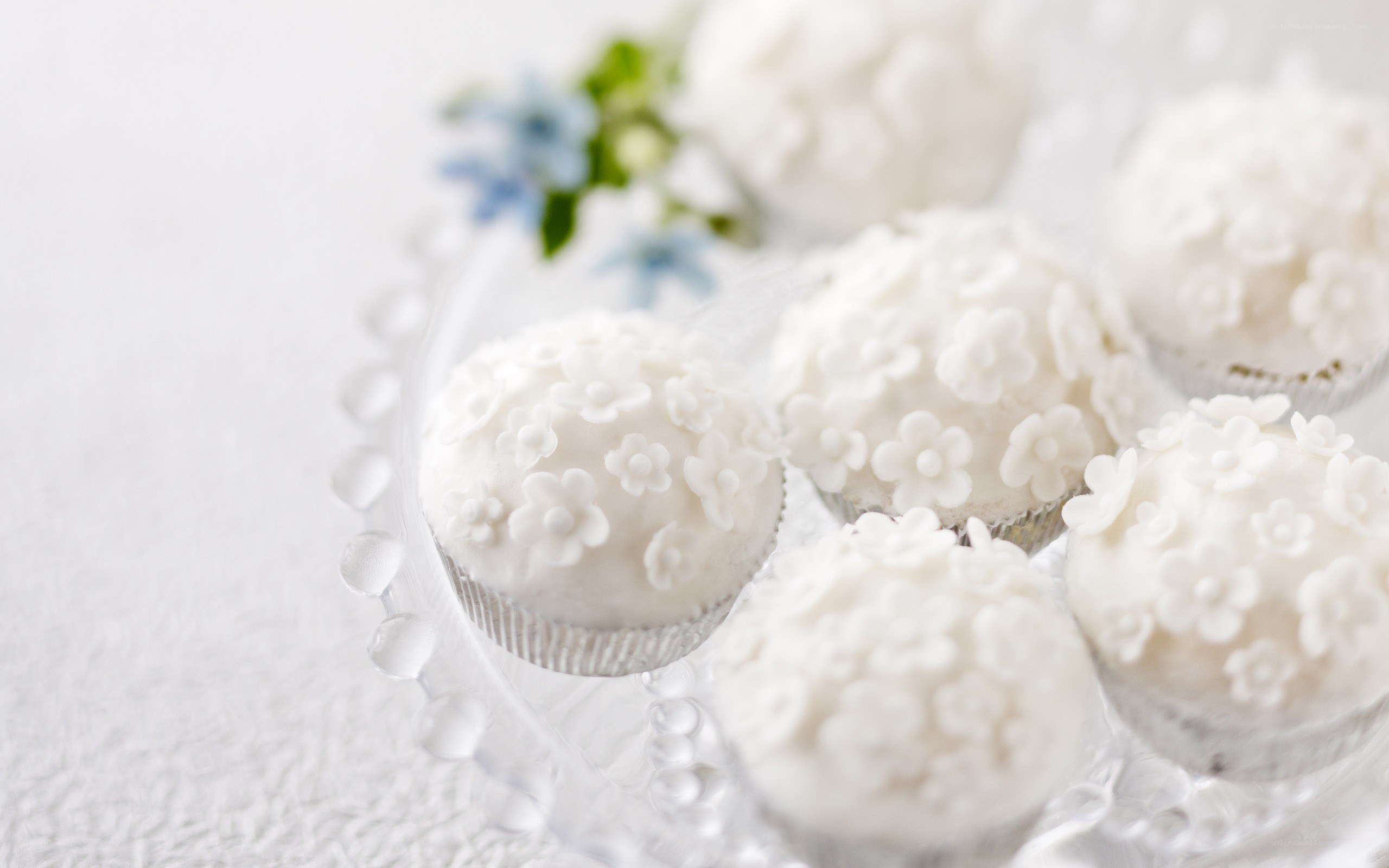 White cupcakes with flower decorations