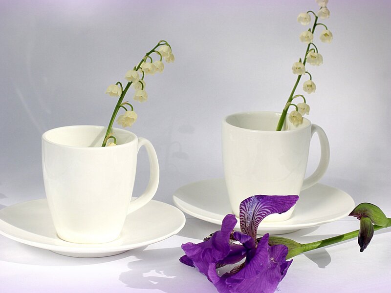 White Cups with Flowers — Serene