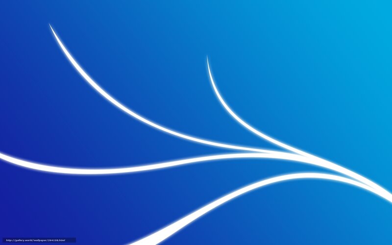 White Curved Lines — Blue