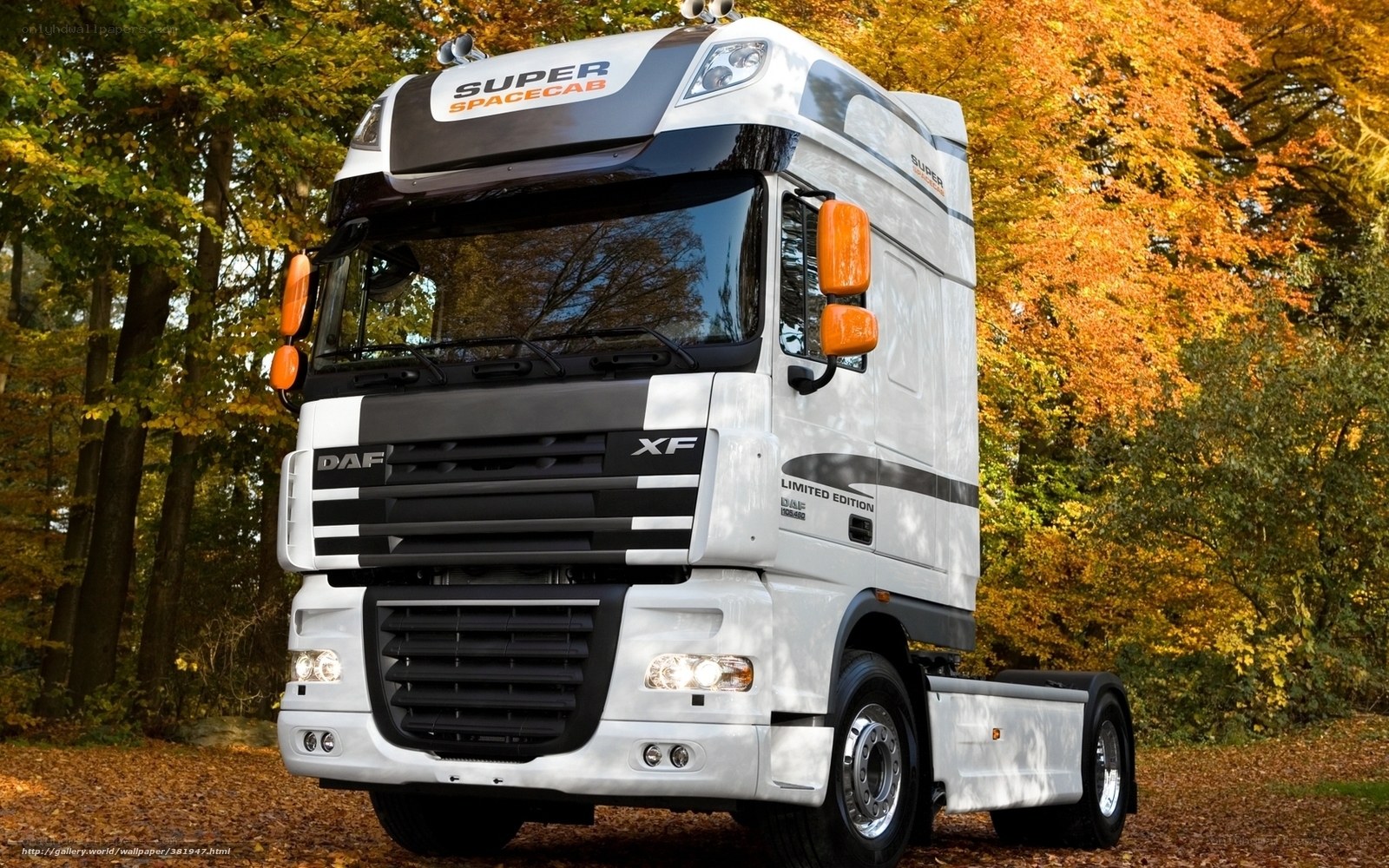 White DAF Super Spacecab truck