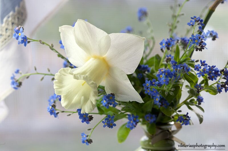 White Daffodil with Blue Flowers