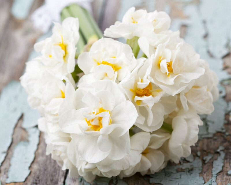 White Daffodils Bouquet
