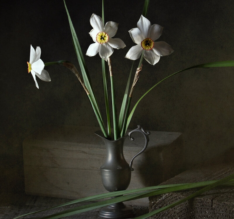 White Daffodils in Vase — Dramatic