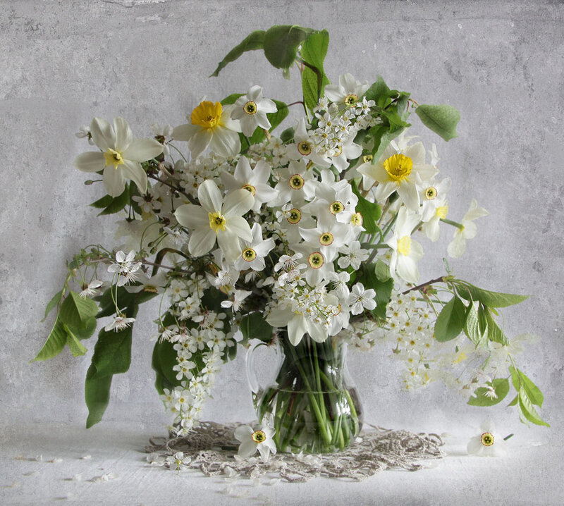 White Daffodils in Vase — Serene