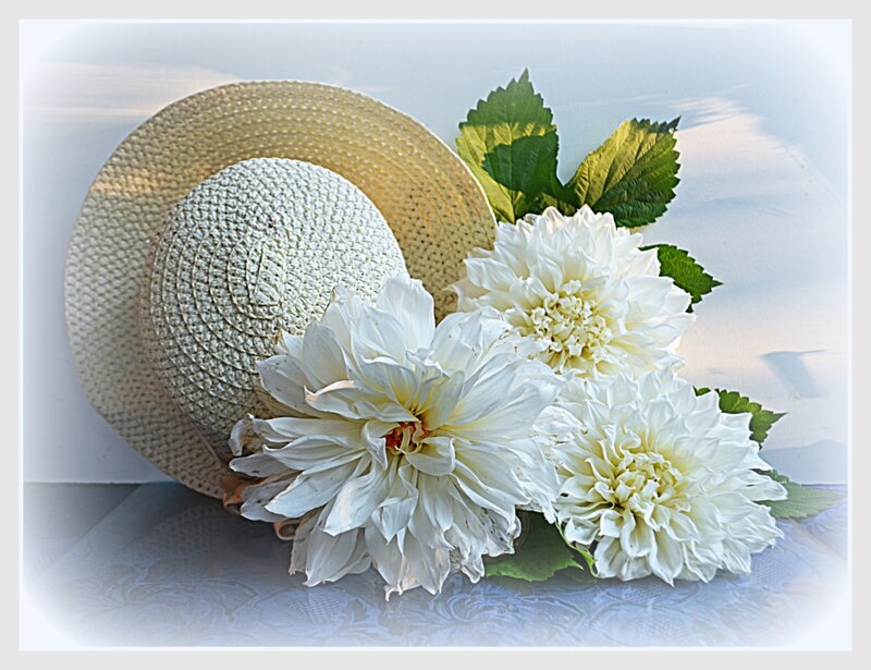 White Dahlias with Hat