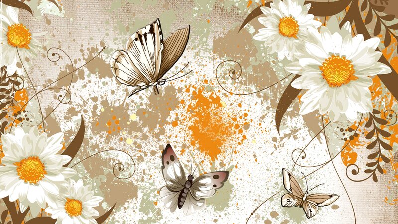 White Daisies and Butterflies — Calm