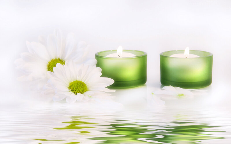 White Daisies and Candles — Green