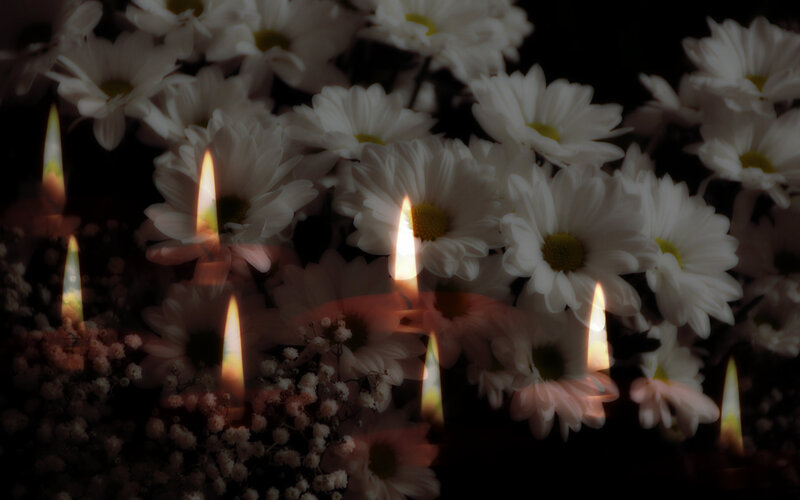White Daisies and Candles — Somber