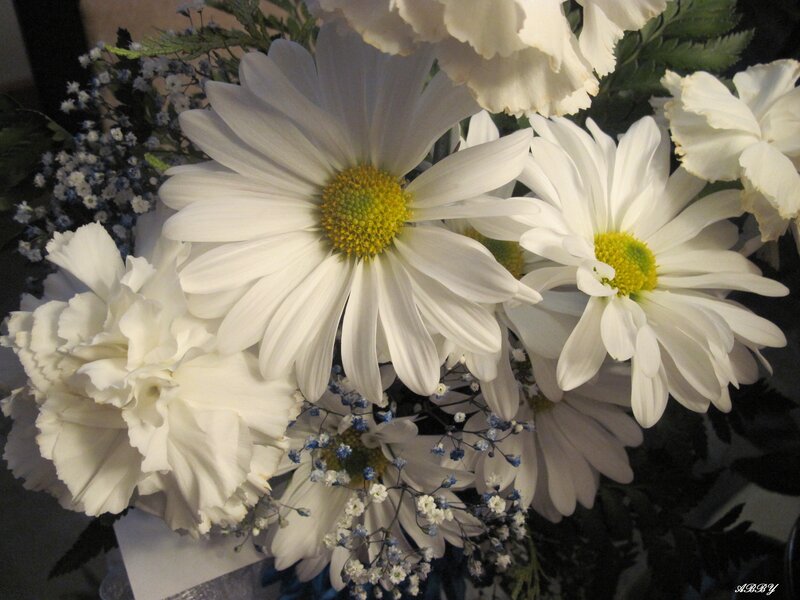 White Daisies and Carnations