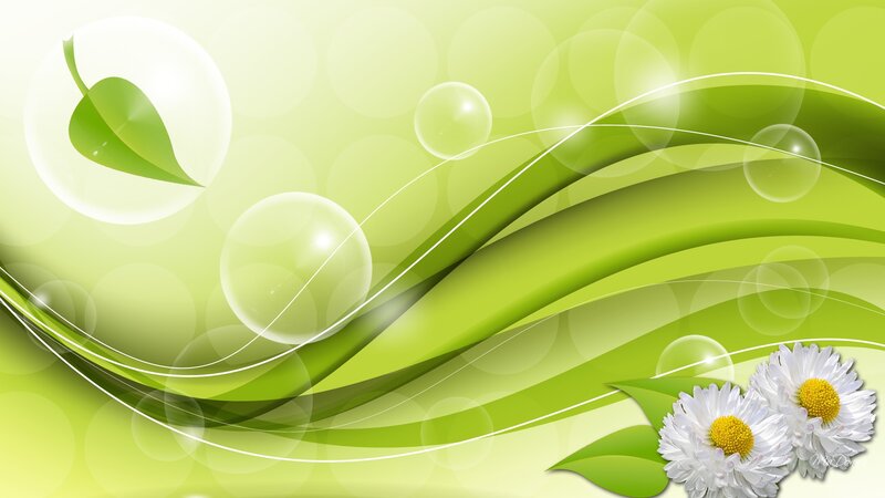 White Daisies and Green Leaves