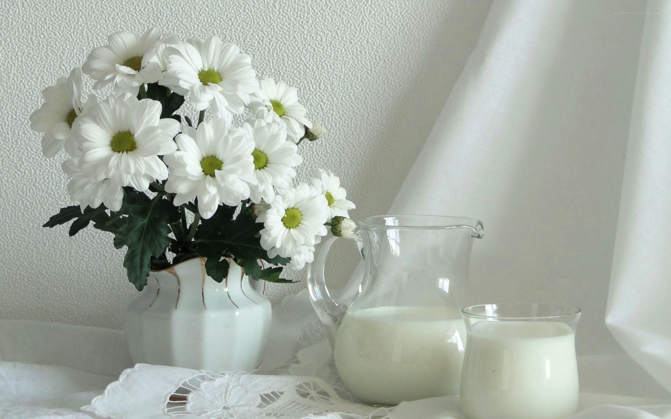White daisies and milk