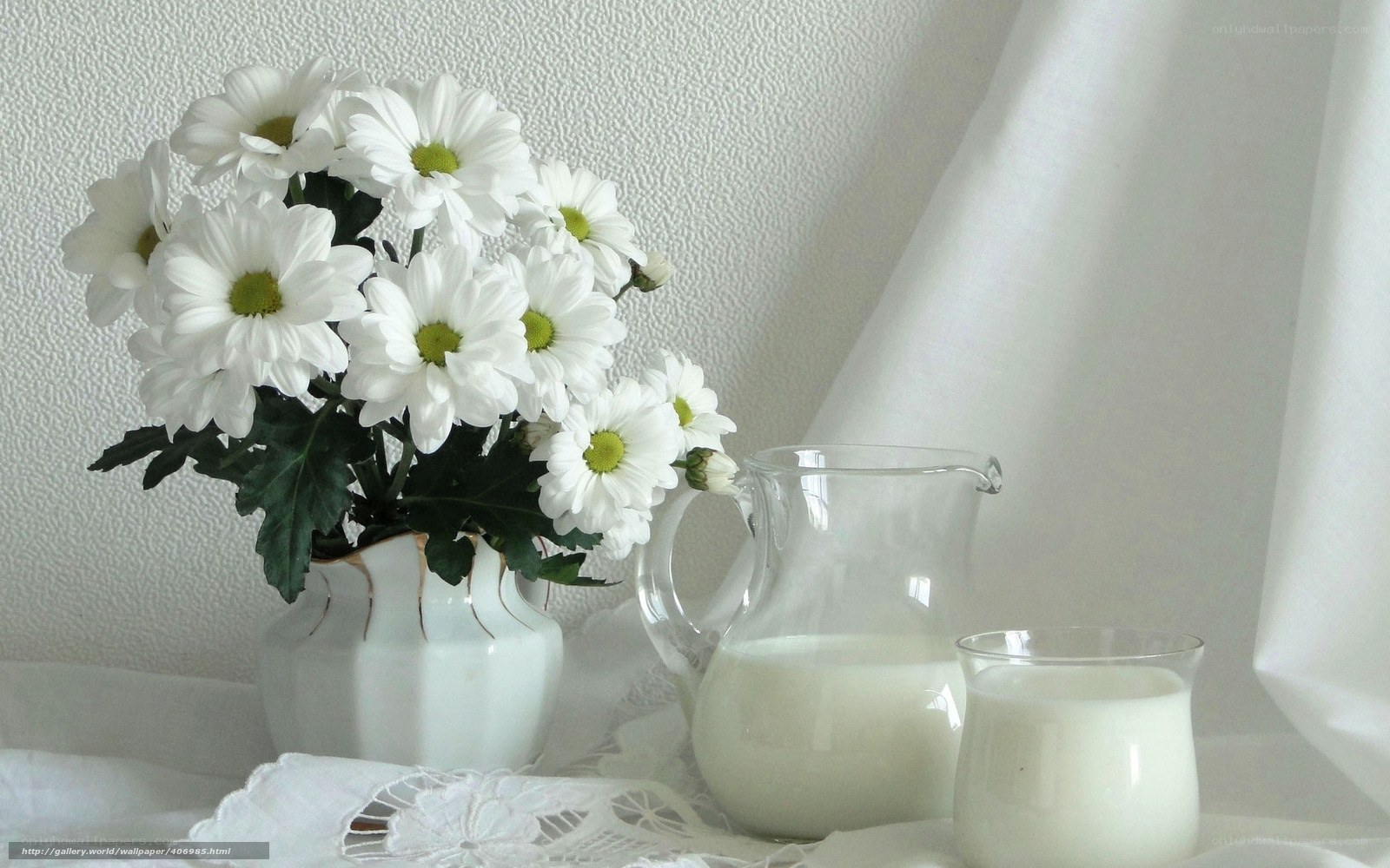 White daisies and milk
