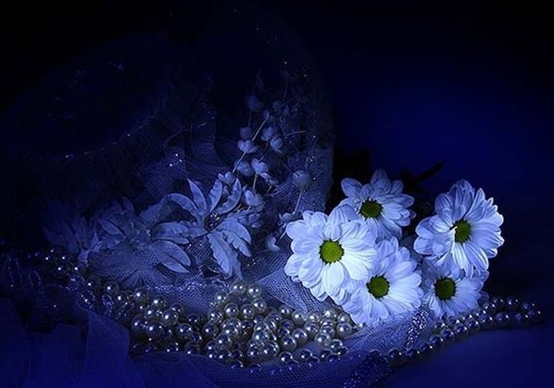 White Daisies and Pearls — Blue