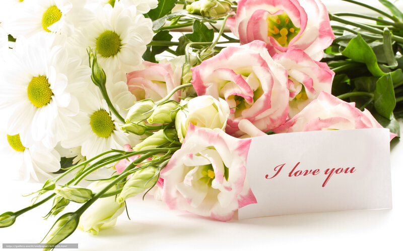 White Daisies and Pink Roses