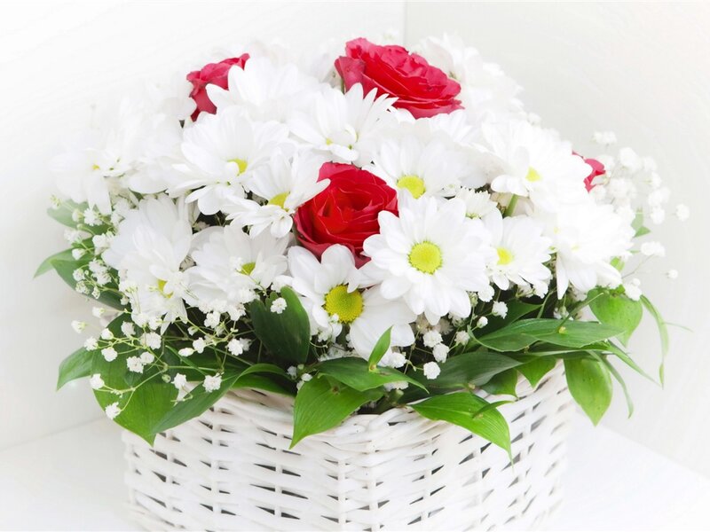 White Daisies and Red Roses