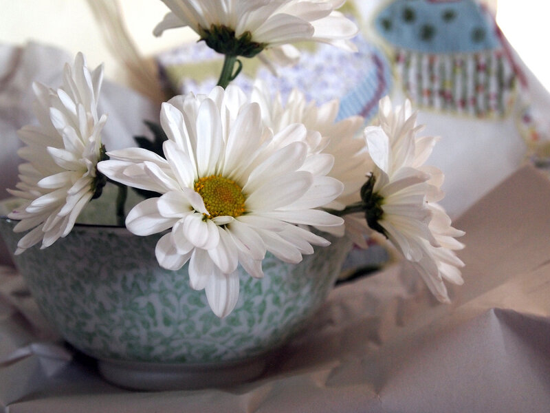 White Daisies in a Bowl — Calm
