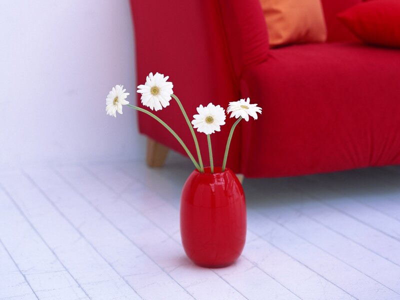 White daisies in a red vase