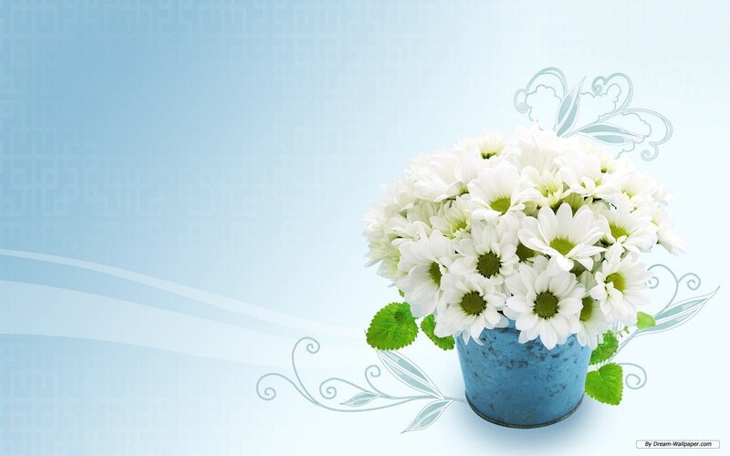 White Daisies in Blue Pot