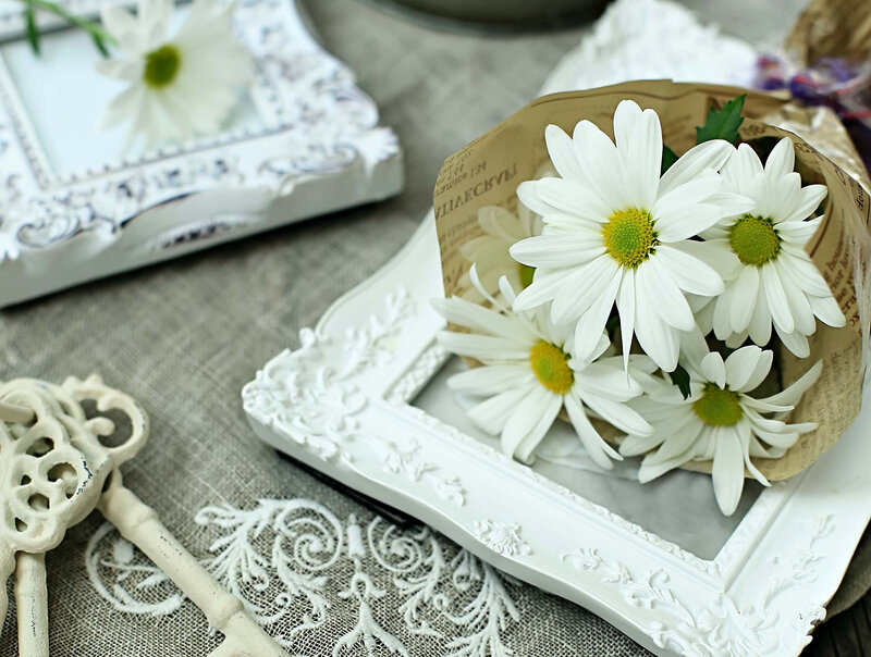 White Daisies in Frame