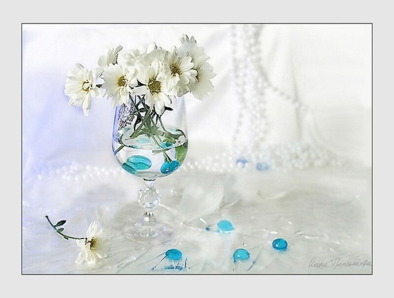White Daisies in Glass