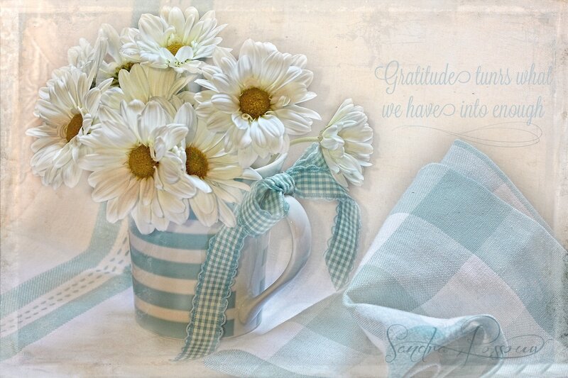 White Daisies in Mug