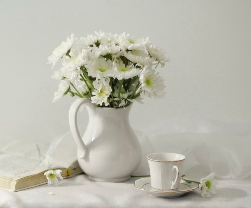 White Daisies in Pitcher — Serene