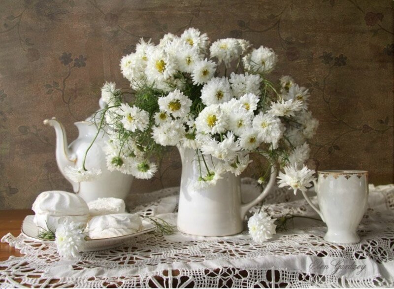 White Daisies in Pitcher