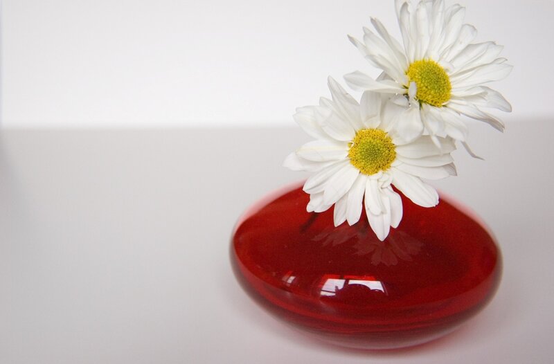 White Daisies in Red Vase — Calm