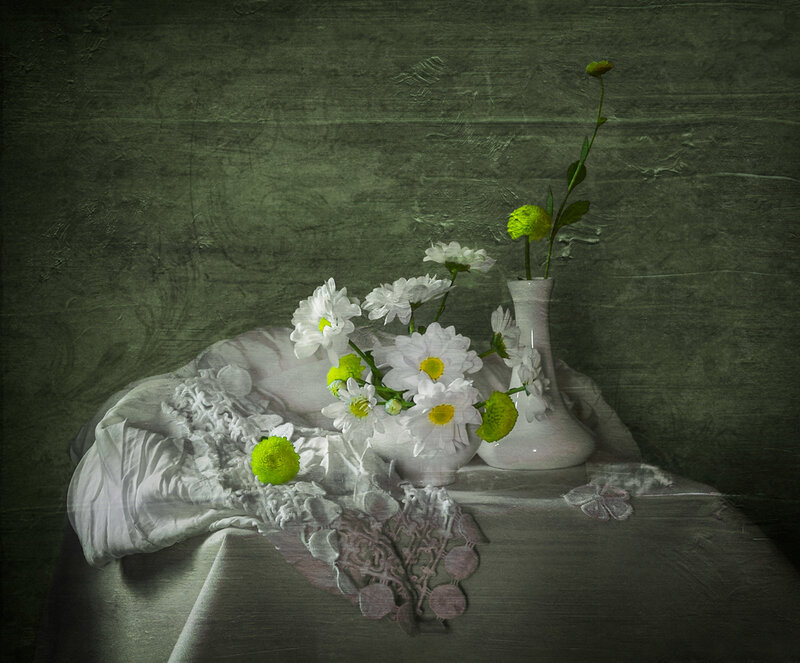 White Daisies in Vase — Green