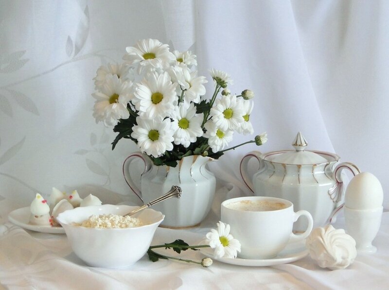 White Daisies in Vase — Serene, Morning