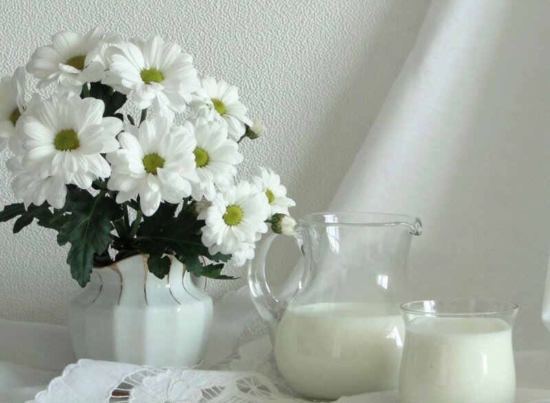 White Daisies in Vase — Serene