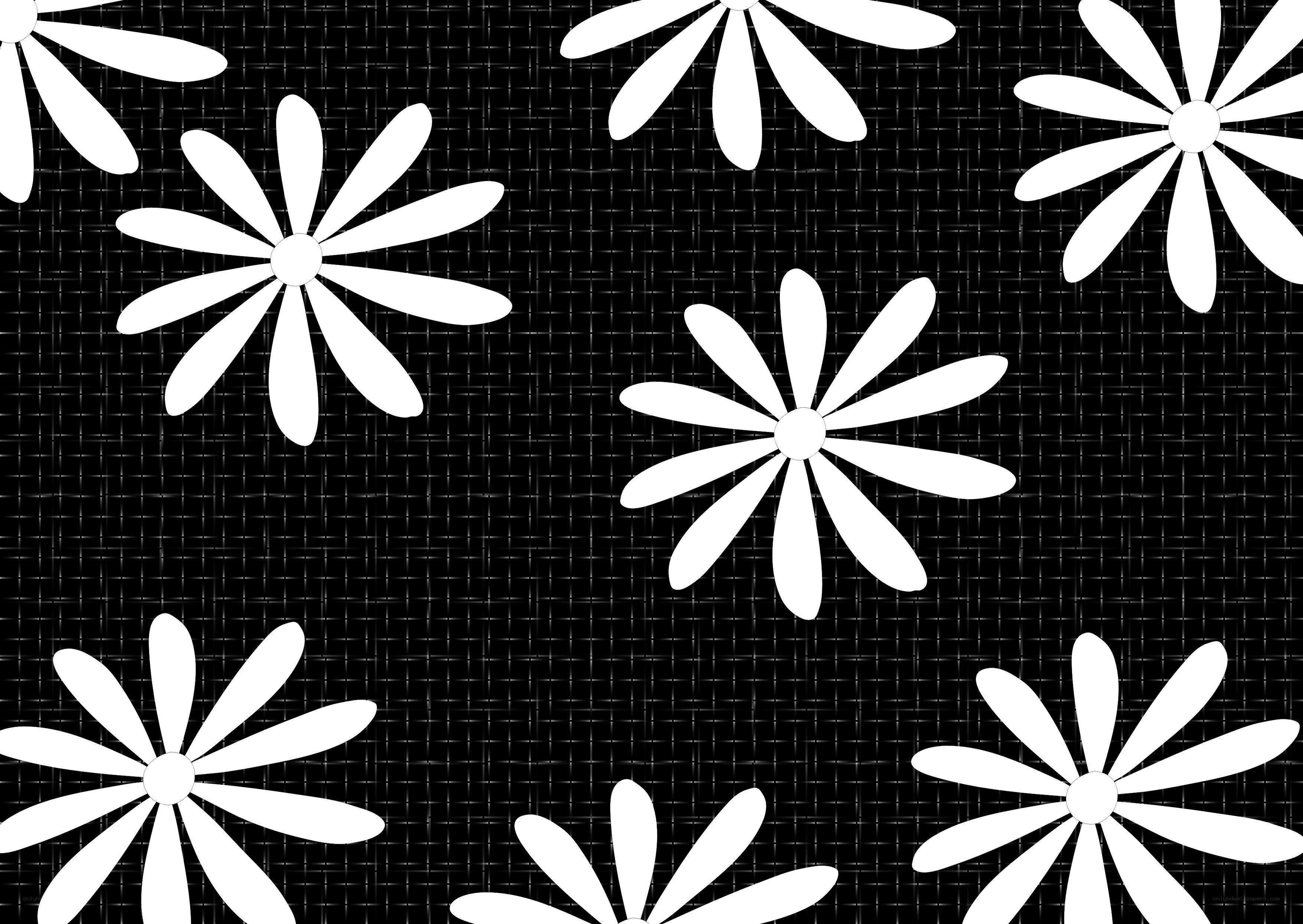 white daisies on black grid