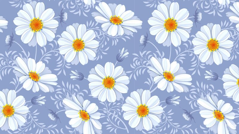 White Daisies on Blue