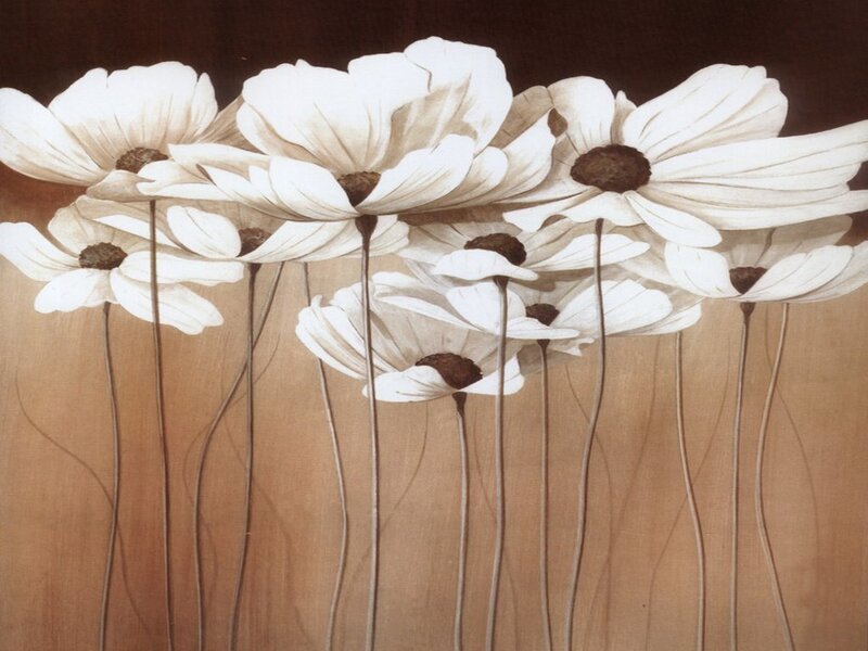 White Daisies on Brown Background