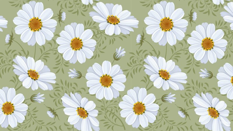 White Daisies on Green