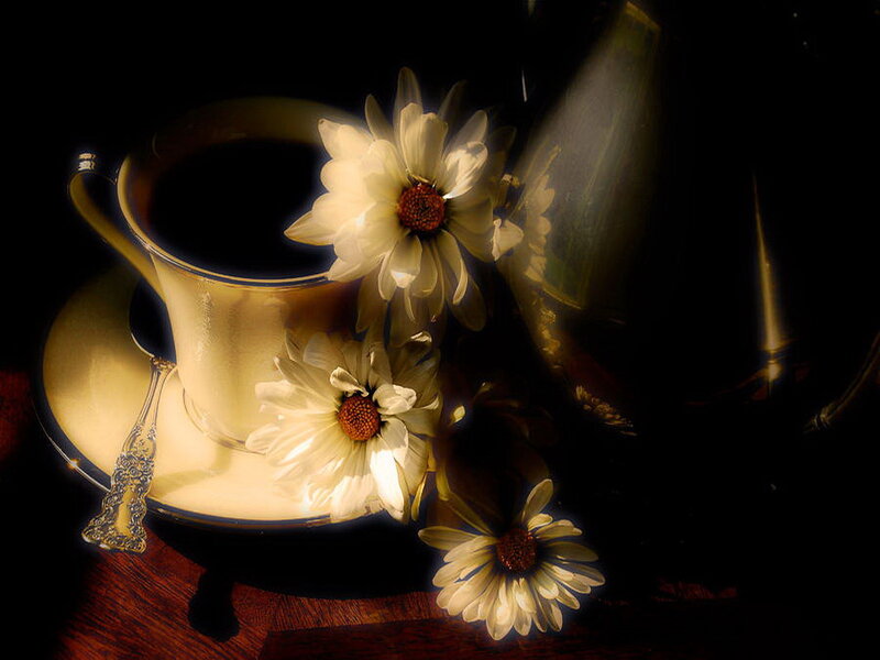 White Daisies with Coffee Cup