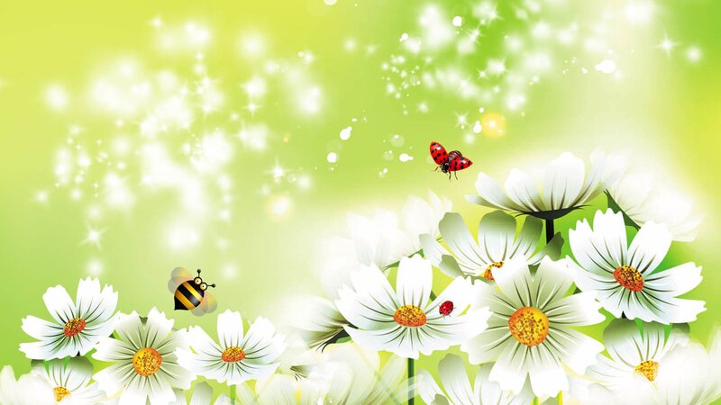 White Daisies with Insects — Green