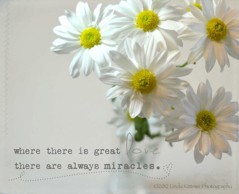 White Daisies with Text