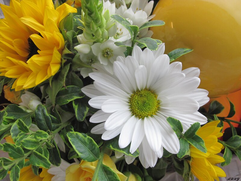 White Daisy and Sunflowers