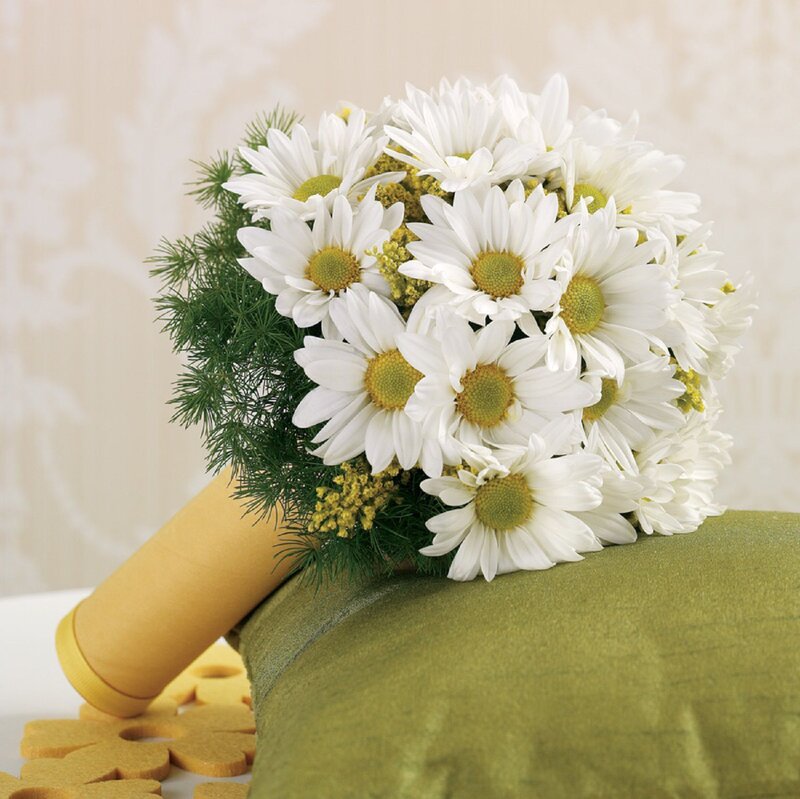 White Daisy Bouquet — Calm, Photograph