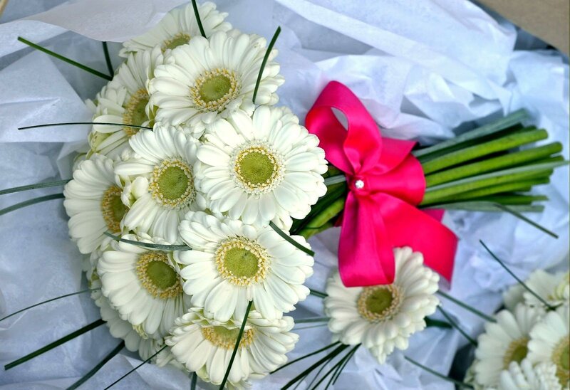 White Daisy Bouquet — Calm