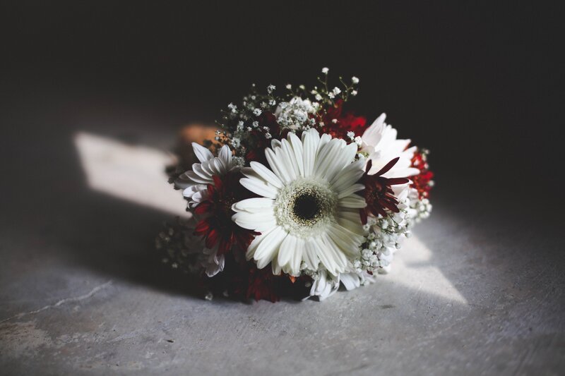 White Daisy Bouquet — Dramatic