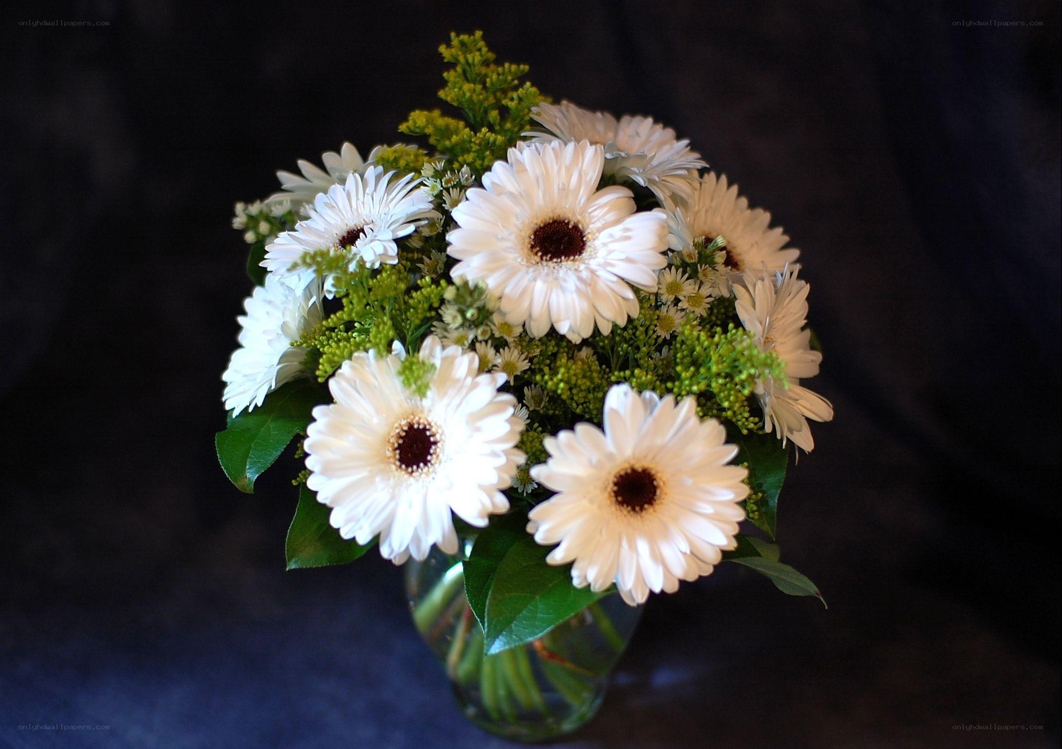 White daisy flower bouquet
