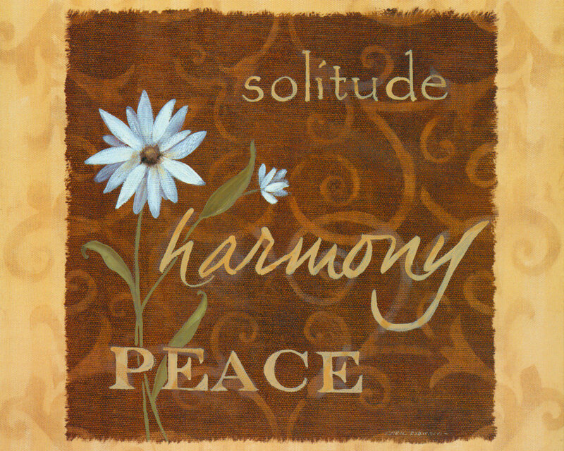 White Daisy Flower — Brown, Serene