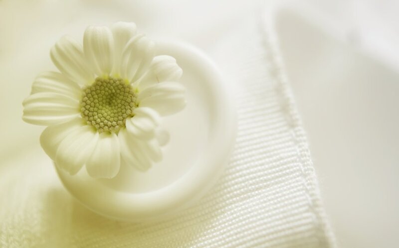 White Daisy Flower — Serene, Photograph, Button